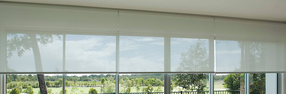 Office with roller blinds